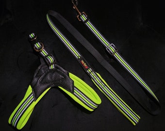 Green Harness and Leash Set Breathable Reflective Adjustable Set for Small and Medium Dogs / Dog Harness Set