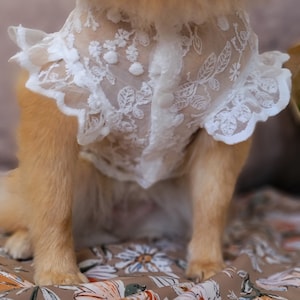 Spring Summer Floral Lace Breathable Sun-Proof White Dress for Dog and Cat / Dog dress / Cat dress image 4