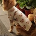 see more listings in the Dogs clothing section