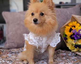 Spring Summer Floral Lace Breathable Sun-Proof White Dress for Dog and Cat / Dog dress / Cat dress