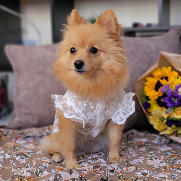 Spring Summer Floral Lace Breathable Sun-Proof White Dress for Dog and Cat / Dog dress / Cat dress