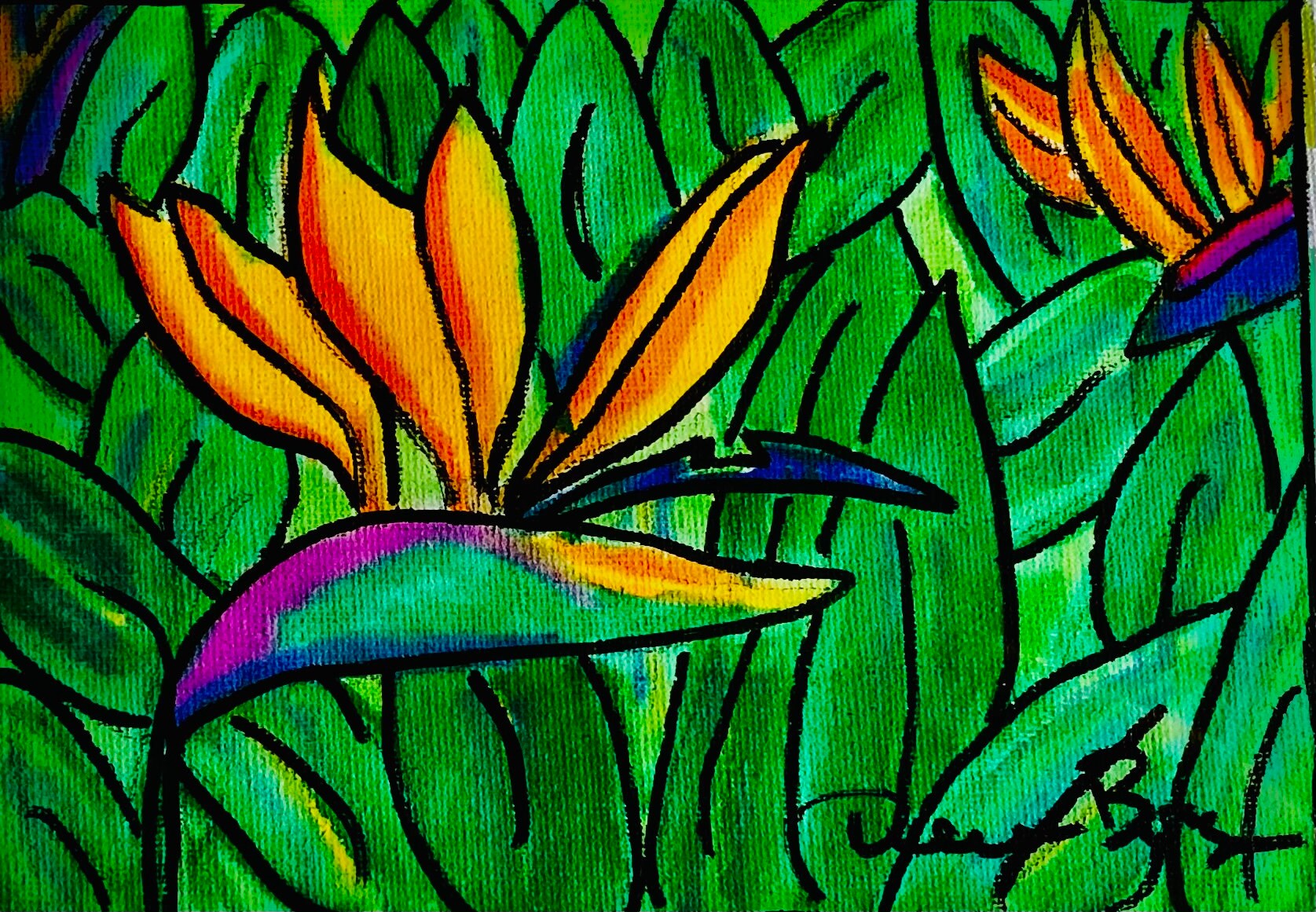Bird of Paradise Etsy