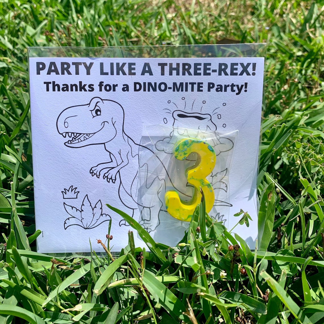 Dinosaur Party Favors Kids Party Favors ThreeRex Etsy
