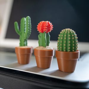 Clicky Cacti 3 Pack, 3D Printed Desk fidgets, Plant lover trinket, Anxiety Plant fidgets
