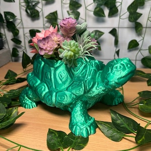 Turtle Flower Pot, Tortoise Indoor Planter, Reptile succulent Vase