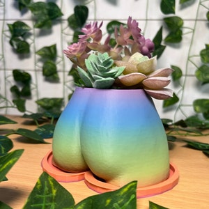 Booty Planter With Drainage, 3D Printed Succulent Butt Pot