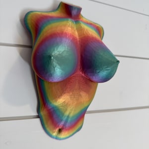 Boob Wall Decor – Funny 3D Printed Body Art, Feminist Wall Sculpture, Bold Shelf or Gallery Wall Accent