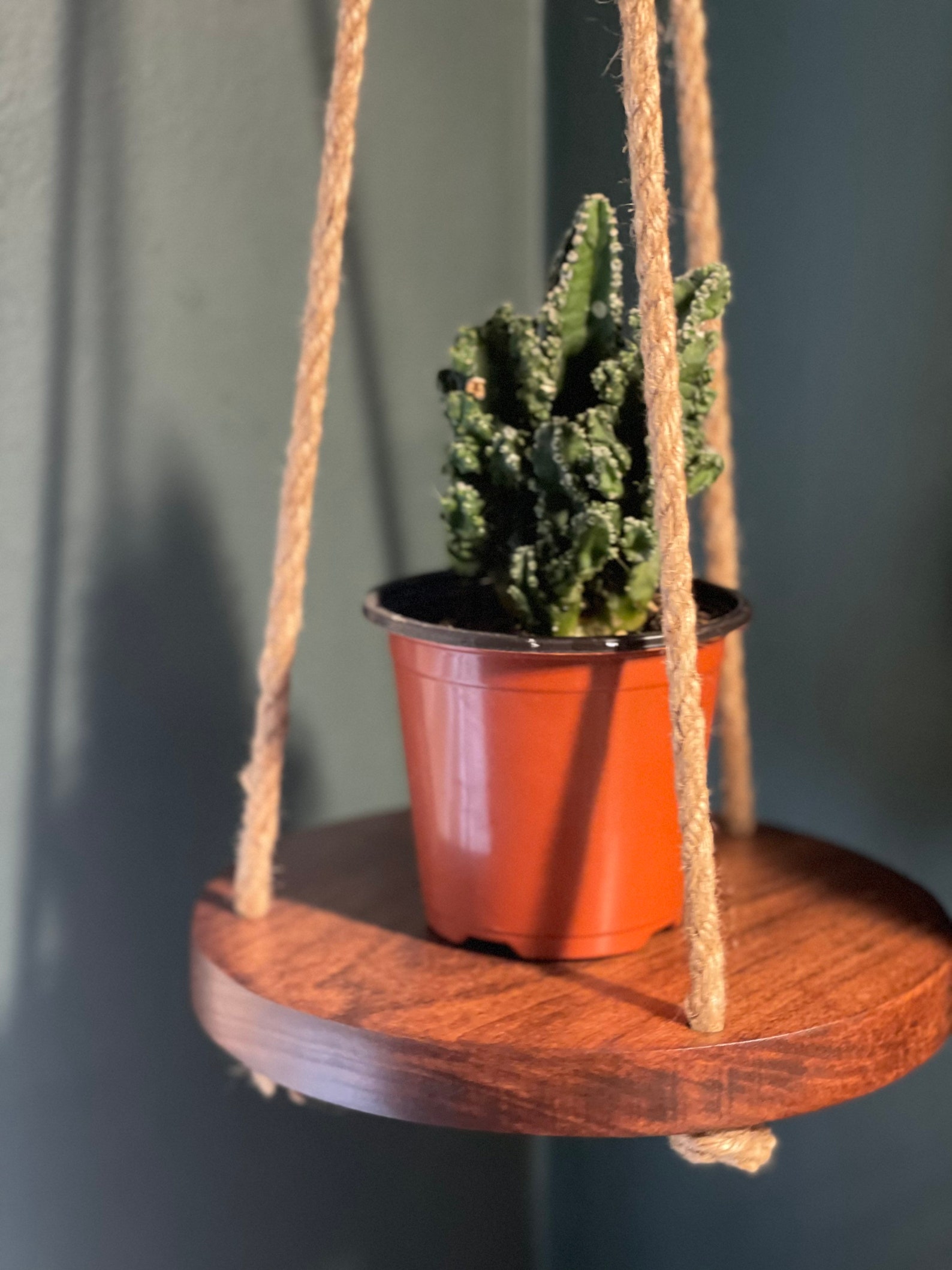 Hanging plant shelf minimalist hanging planter boho decor Etsy