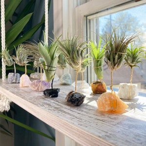 Raw Crystal Air Plant Holder |  Indie Room Decor, Plant Accessories Desk, Hippie Crystal Planter, Air Plant Gift Box, Boho Decor for Her