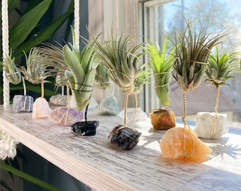 Raw Crystal Air Plant Holder |  Indie Room Decor, Plant Accessories Desk, Hippie Crystal Planter, Air Plant Gift Box, Boho Decor for Her