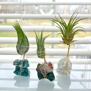 Raw Crystal Air Plant Holder |  Indie Room Decor, Plant Accessories Desk, Hippie Crystal Planter, Air Plant Gift Box, Boho Decor for Her
