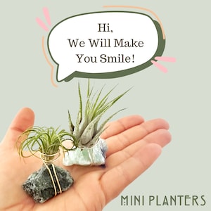 Tiny Air Plant Holder | Emotional Support Plant, Gift for Plant Lover, Raw Crystal Planter, Air Plant Crystal, Crystal Air Plant Holder Mini