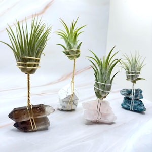 Raw Crystal Air Plant Holder |  Indie Room Decor, Plant Accessories Desk, Hippie Crystal Planter, Air Plant Gift Box, Boho Decor for Her