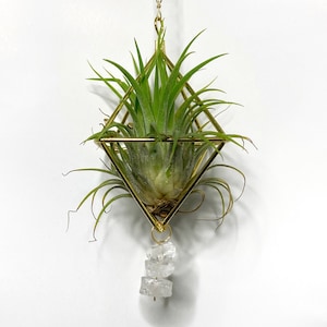 Air Plant Holder | Boho Hanging Decor, Air Plant Hanger, Air Plant Crystal, Geometric Planter, Hanging Air Plant, Boho Apartment Decor, Gold