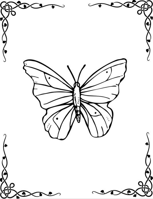 Butterfly coloring pages for kids Birthday butterfly theme | Etsy