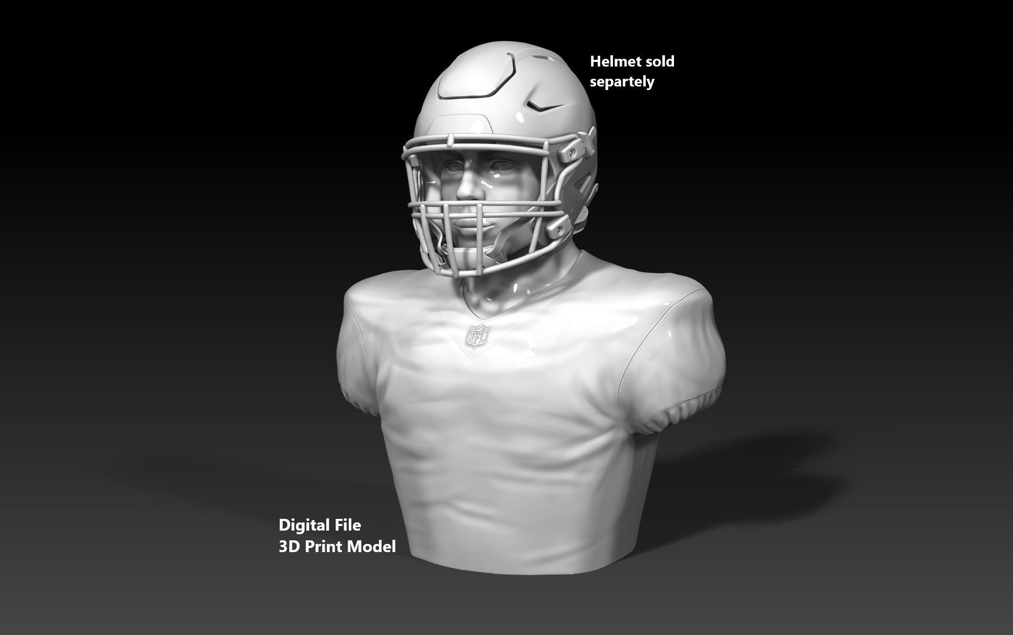 Soporte largo para casco de fútbol americano de la NFL con cara Modelo de  impresión 3D - Archivo digital - Etsy México, image size:1978x1241