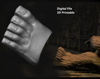 Gungi Toes Feet cosplay 3D print model - Digital file