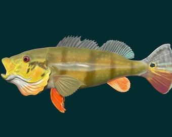 Perch Fish 3D Printable Model
