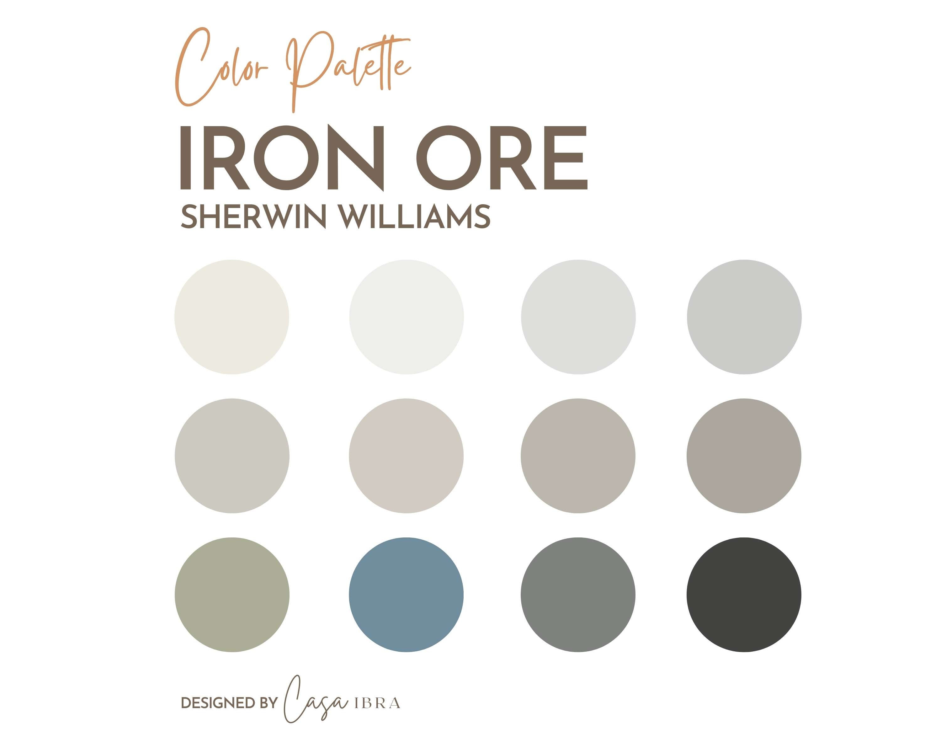 Iron Ore Color Palette Etsy