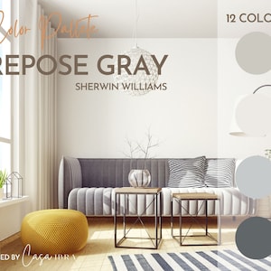 Repose Gray Paint Color Palette, Sherwin Williams, Interior Paint Palette, Professional Paint Scheme, Color Selection,Interior Design