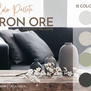 Iron Ore Paint Color Palette, Sherwin Williams, Interior Paint Palette, Professional Paint Scheme, Color Selection,Interior Design