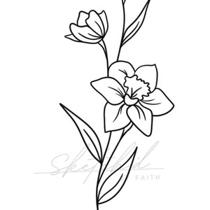 Flor de nascimento de dezembro Narciso SVG