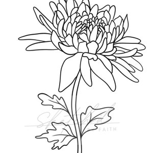 November Birth Flower Chrysanthemum