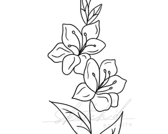 August Birth Flower Gladiolus