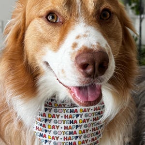 Happy Gotcha Day Bandana