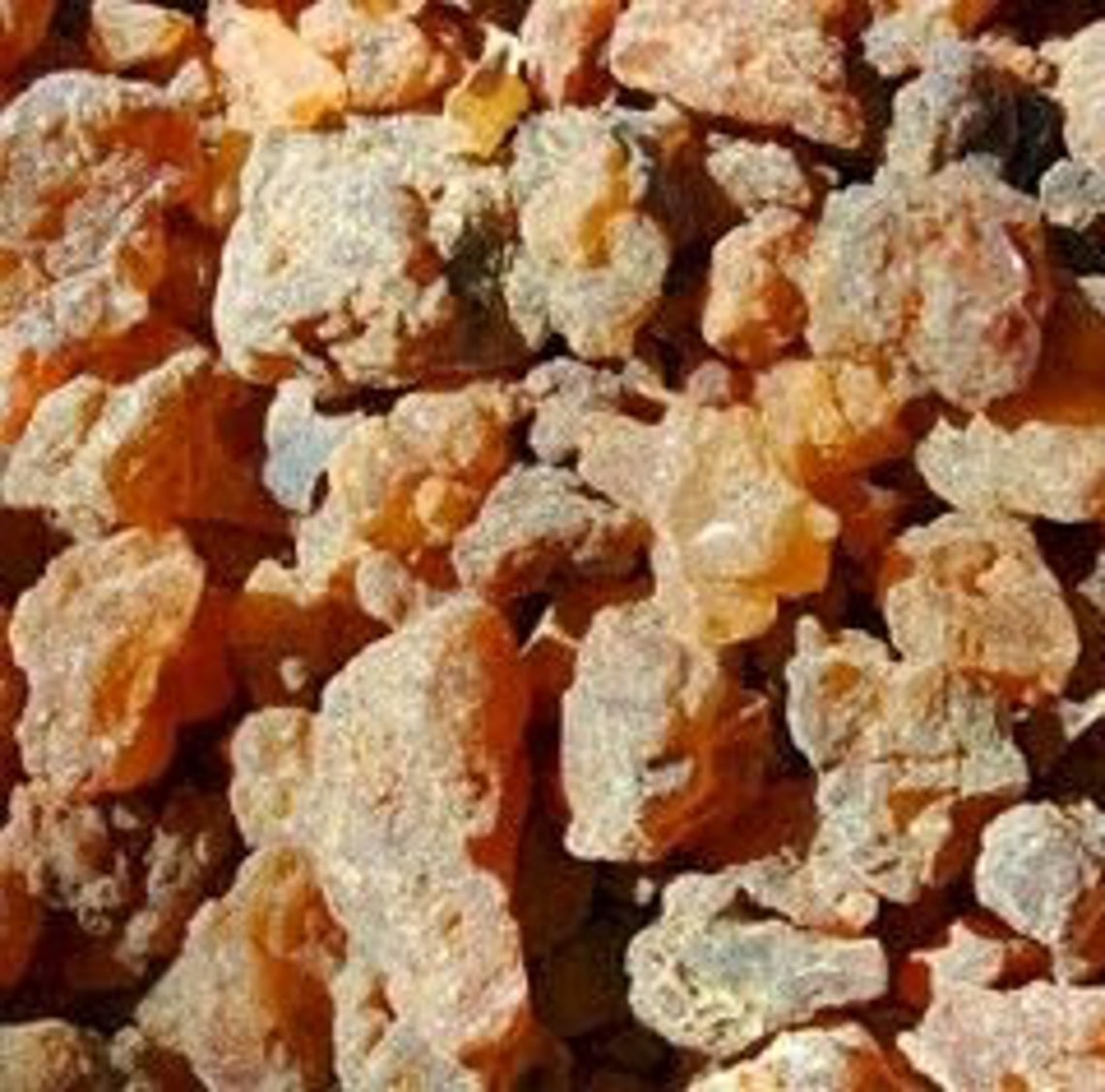 Organic Asafoetidahing heeng powder Fragrant & Fresh Incense Etsy