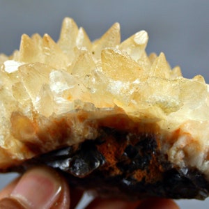 Rare Honey Color Teeth Calcite Crystal Specimen - 180 Grams, Terminated, Natural - Unique Collector&#39;s Piece