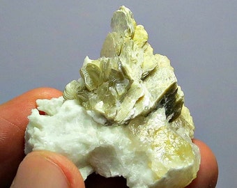 36 gm Infrequent & Very Beautiful White And Gold Color Mica Full Terminated Crystal Rough Specimen For Collectors
