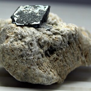 May include: A dark, metallic-looking mineral specimen with a geometric shape is set on a rough, light-colored rock. The rock has a textured surface with ridges and crevices, and the mineral appears to be partially embedded.