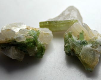 Lotto di campioni di cristalli di tormalina verde grezza da 56,0 CT - Lotto di mini campioni di tormalina grezza dall'Afghanistan, mazzo di tormalina