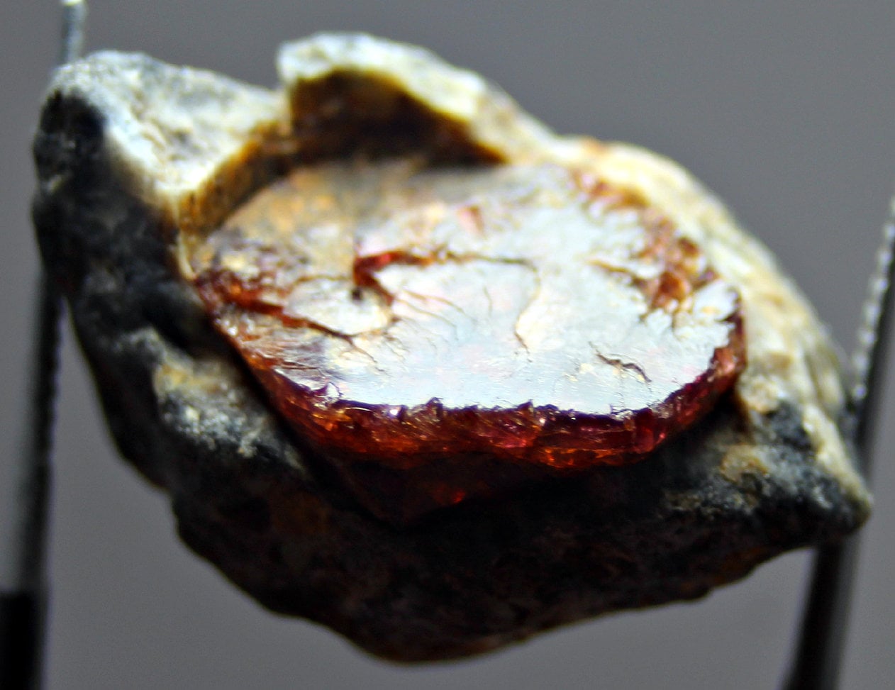 38.0 CT Red Blood Garnet Combine Golden Pyrite Crystal Specimen Natural ...