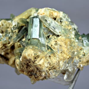 May include: A close-up of a mineral specimen featuring a cluster of pale green, translucent crystals. The crystals are set against a backdrop of beige and tan rock, with a few clear quartz crystals visible. The specimen is held by a metal clamp.