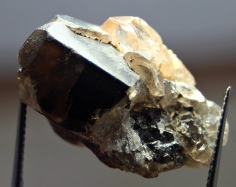 One-of-a-Kind 37.0 Rare Smokey Quartz & Golden Topaz Crystal from Katlang Pakistan - Rare Find Of Combine Specimen For Collectors