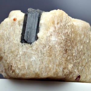 42.0 Alluring Black Tourmaline And Red Almandine Garnet On Spodumene Crystal Tri Specimen For Collectors