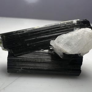 Puede incluir: Primer plano de una formación de cristal de turmalina negra con un grupo de cuarzo transparente. La turmalina tiene una textura estriada y el cuarzo es translúcido. Los cristales están sobre un fondo neutro.