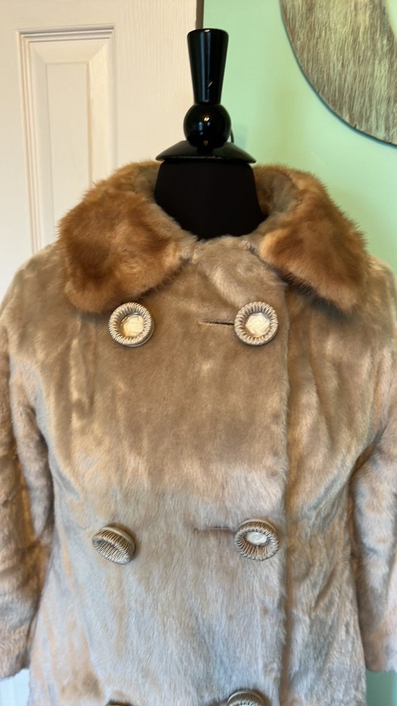 Beautiful Vintage Blum Brothers Fur Coat - image 2