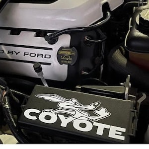 Mustang Coyote decal