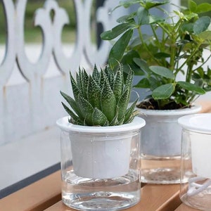 Self-Watering Planter Pot