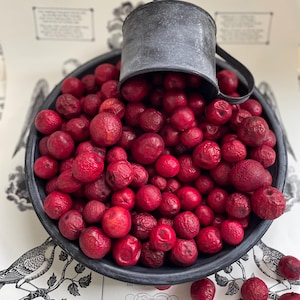 May include: A black bowl filled with numerous red, round objects, possibly berries, with a small metal cup spilling over. The bowl sits on a patterned surface with text that reads "PRINTED AND FOR SALE AT THE "EAGLE" BOOK STORE, No. 542 PENN STREET, READING, PA."