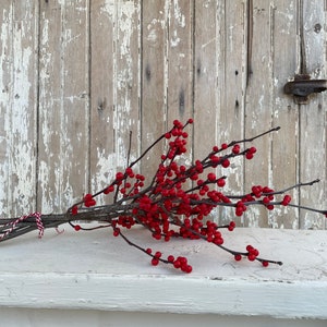 Fresh Winterberry Branches, holly, natural, beautiful