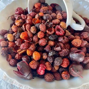 May include: A white ceramic cup spills out a mixture of dried rose hips, berries, and cinnamon sticks onto a white plate. The rose hips are a mix of red, orange, and brown.