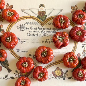 May include: A collection of small, bright orange-red pumpkins scattered over a vintage-style marriage certificate. The certificate features an illustration of an angel, floral borders, and the text: Whom God has joined together let no man put asunder United in Marriage.
