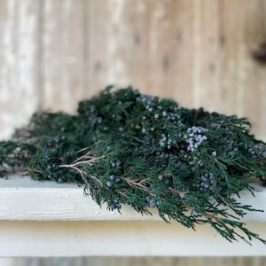 May include: A bunch of green cedar sprigs with blue berries, resting on a white surface.