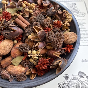May include: A dark gray bowl filled with a collection of dried botanical elements including brown cinnamon sticks, textured pine cones, smooth nuts, small tan berries, dried seed pods, and vibrant red spiky floral accents.