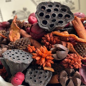 Spiced Mulled Cider Potpourri, bowl filler,  handmade