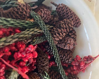 May include: A white bowl filled with brown pine cones, green pine sprigs, and red berry sprigs.